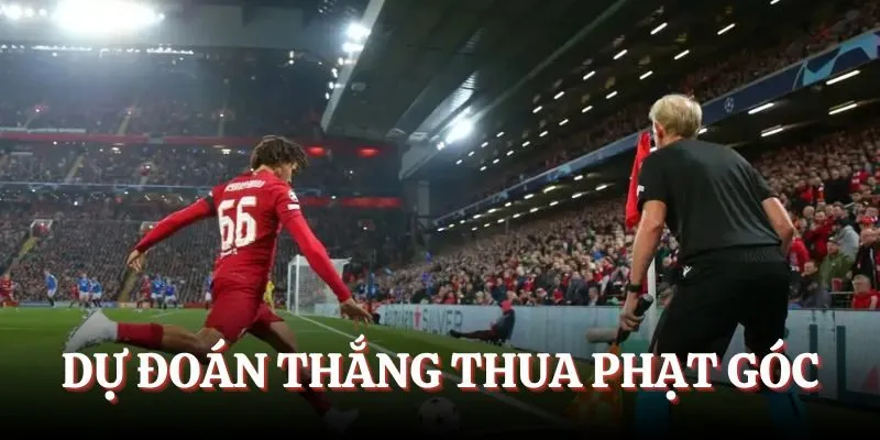 Dự đoán kết quả thắng thua