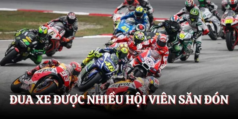 Đua xe được nhiều hội viên săn đón