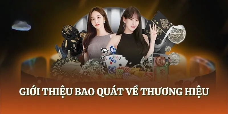 Giới thiệu bao quát về thương hiệu